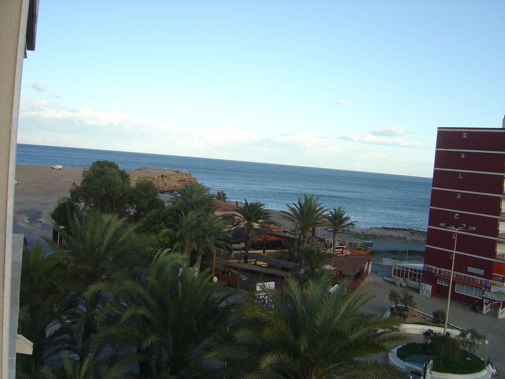 Palmeral De Torrevieja Exteriör bild