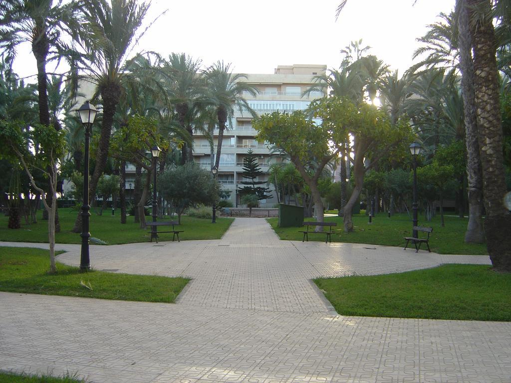 Palmeral De Torrevieja Exteriör bild