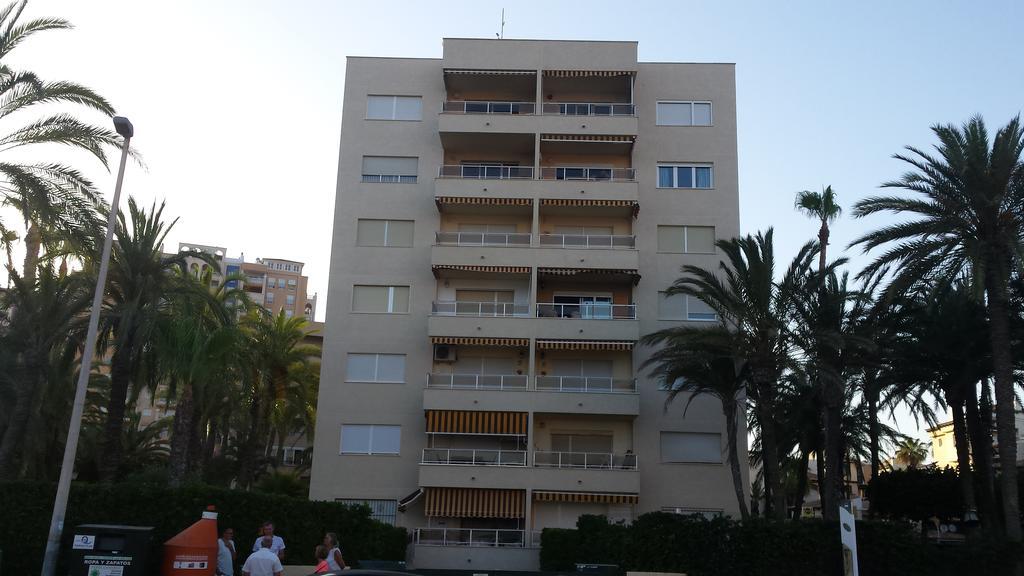 Palmeral De Torrevieja Exteriör bild