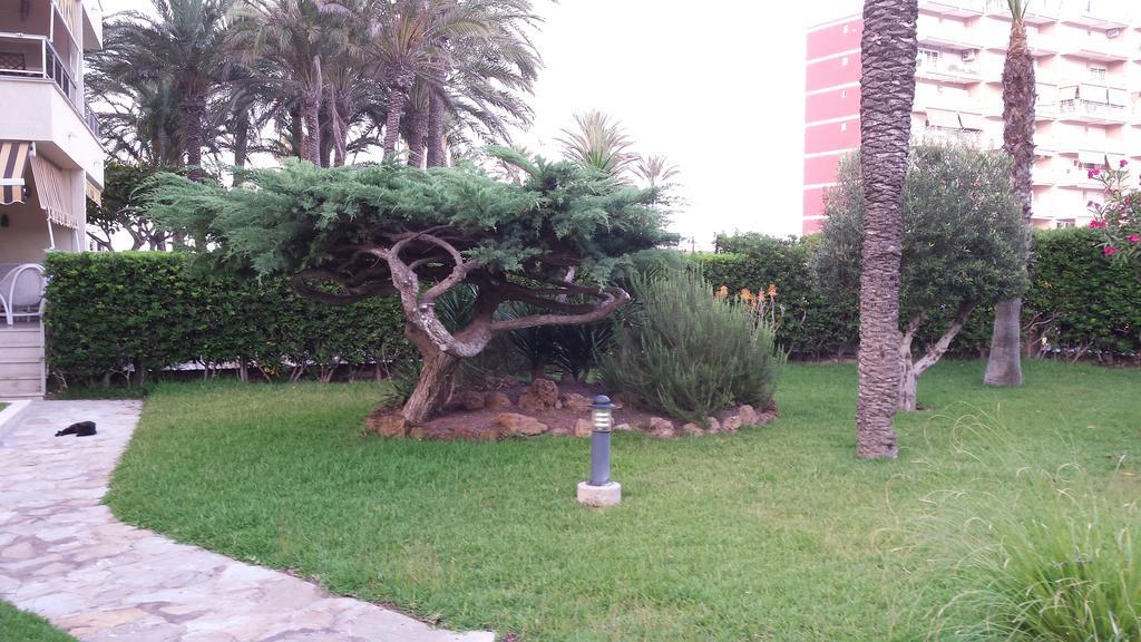 Palmeral De Torrevieja Exteriör bild
