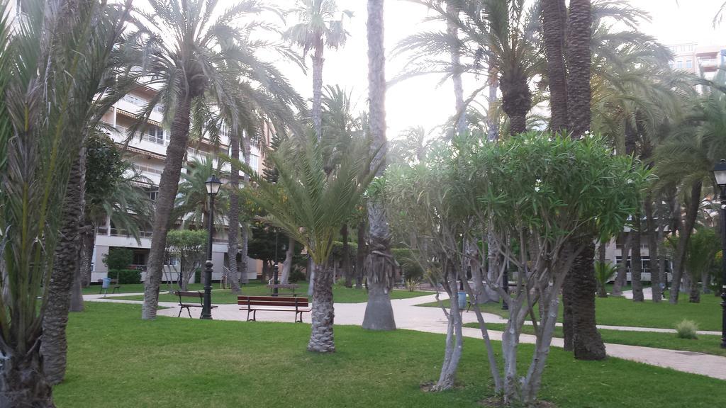 Palmeral De Torrevieja Exteriör bild